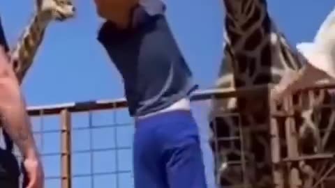 Funny animal Videos Part 2