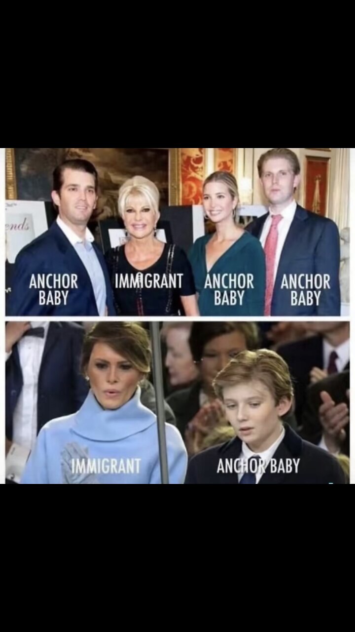 Multiple Personality Fake NERF Government