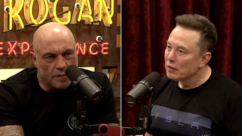 WATCH: ELON MUSK ON WHY DEMS SHUT DOWN GOV'T - Democrats must PAY UNLAWFUL ALIENS or LOSE VOTERS