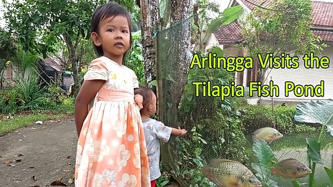 Arlingga Visits the Tilapia Fish Pond