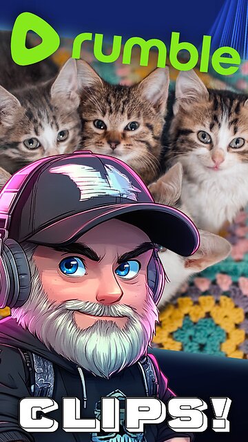 Welcome Yarnie and Salem! New KITTEN's playing! #RumbleClips