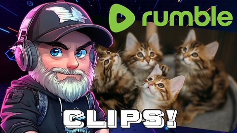 Welcome Yarnie and Salem! New KITTEN's playing! #RumbleClips