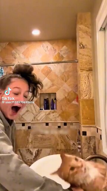 Car lovers - Time for a cat bath!