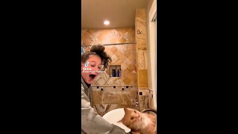 Car lovers - Time for a cat bath!