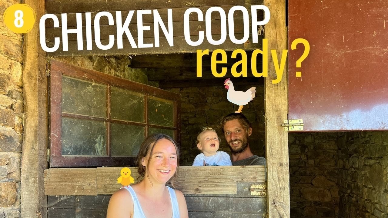 8 - Is Our Chicken Coop FINALLY Chicken-Ready?