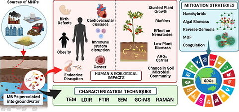 "Alarming Prevalence of Nanoplastics in Food & Water: Is the Government Overlooking?"