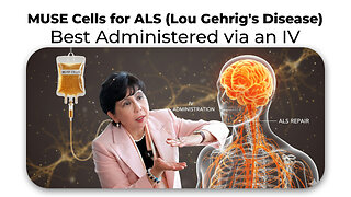 MUSE Cells for ALS (Lou Gehrig's Disease) Best Administered via an IV