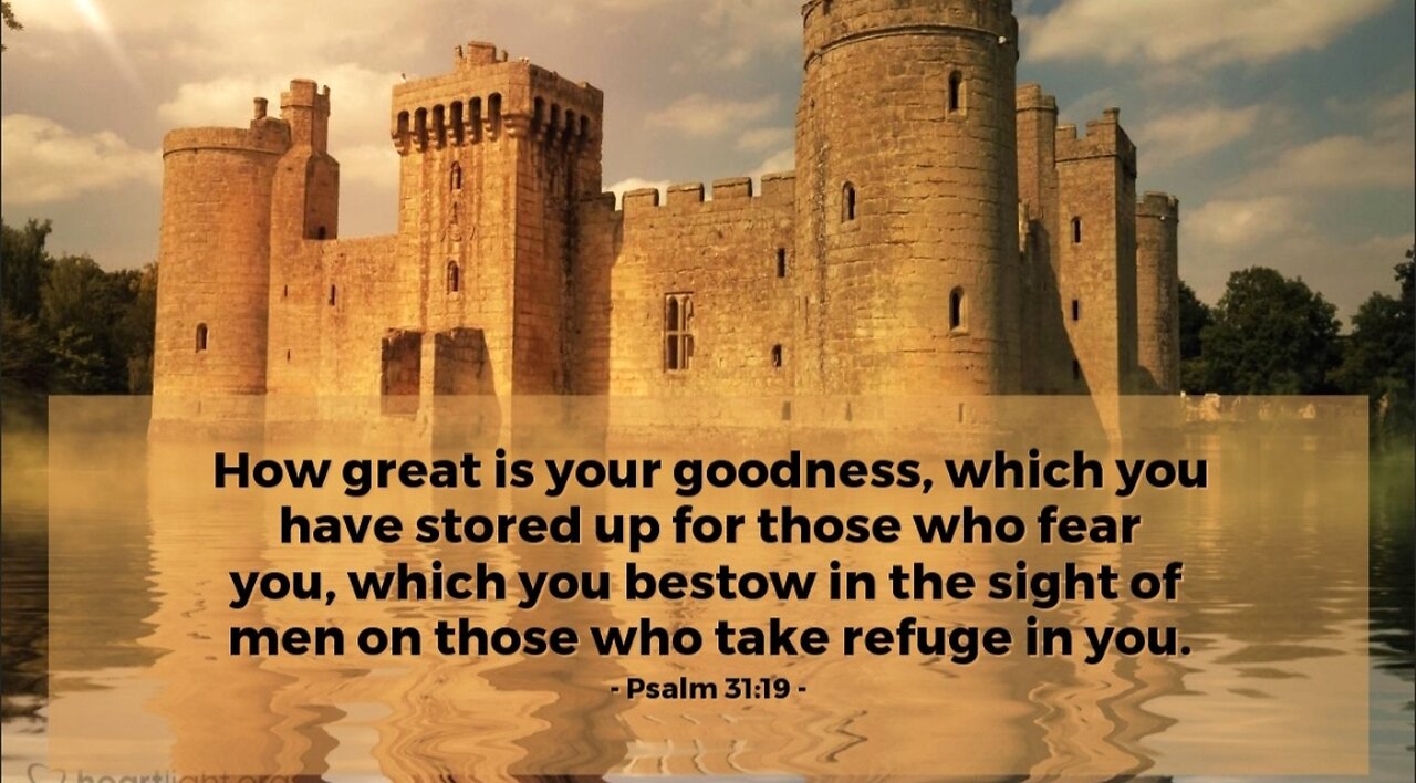 REASONS TO SURRENDER - DAILY DEVOTIONAL ❤️