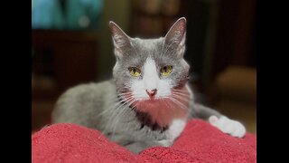 Episode 3013 CWSA 11/09/25