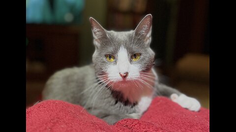 Episode 3013 CWSA 11/09/25