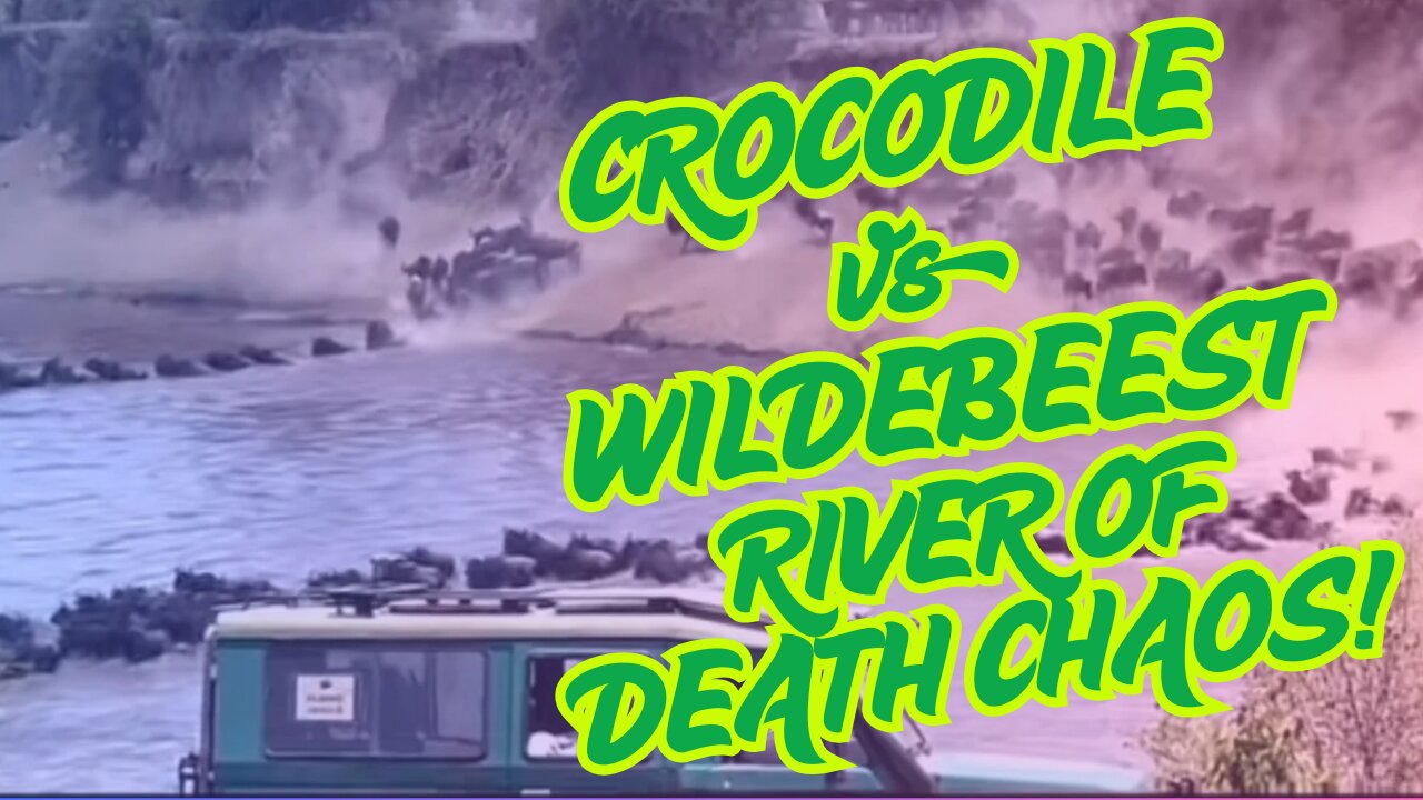 River of Death: Wildebeest Stampede Through Crocodile Gauntlet 🐊💔