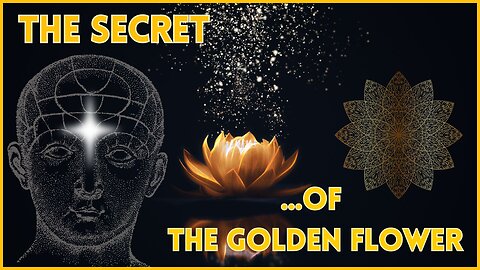 The Secret of the Golden Flower—the physiological mystery.