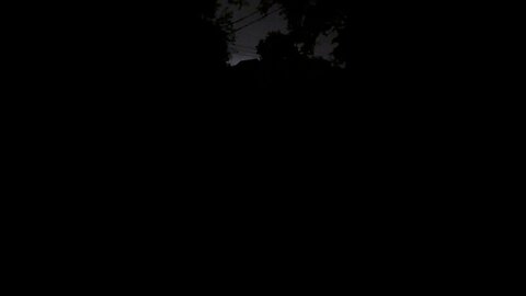 Lightning Bugs on a Summer Night