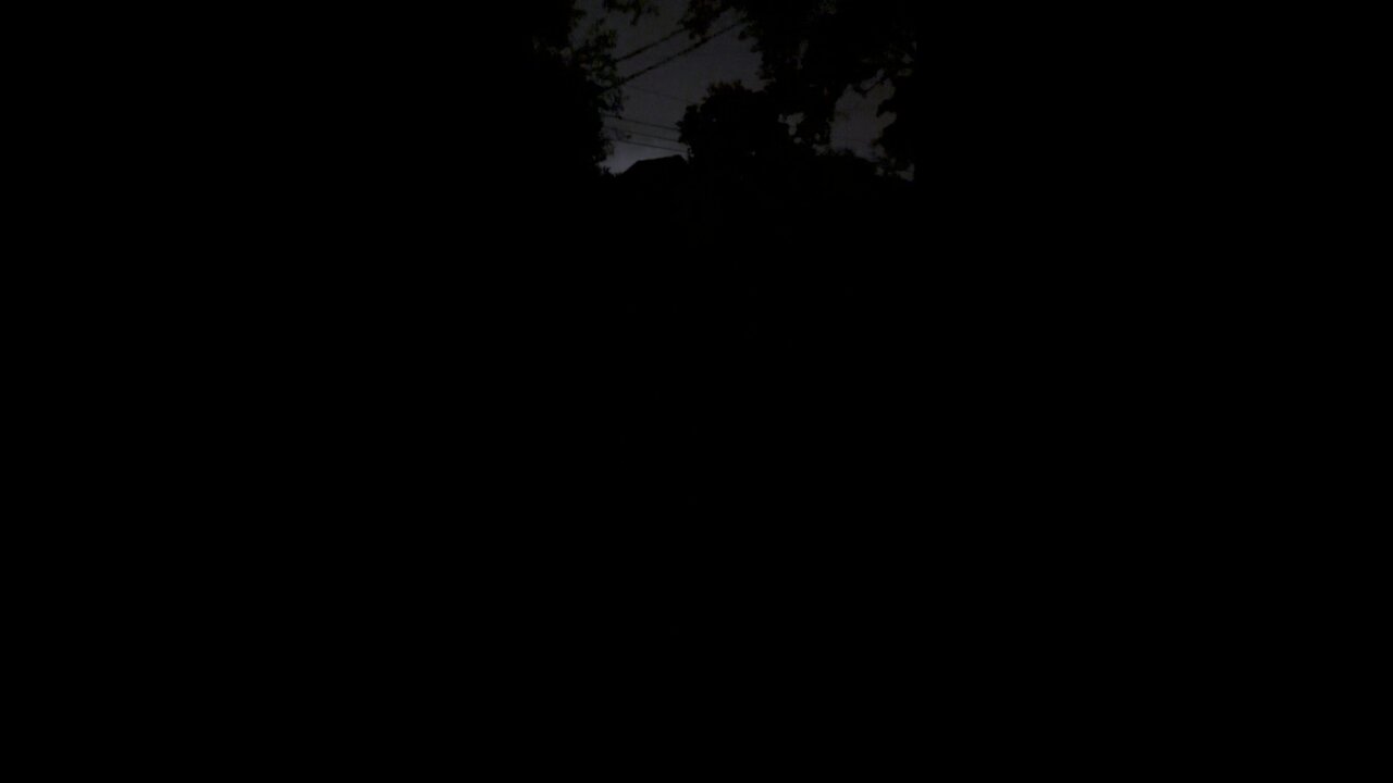 Lightning Bugs on a Summer Night