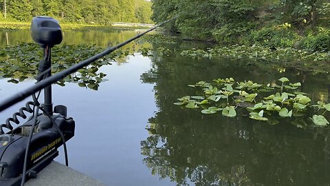 Fishing for beginners fluke part 2