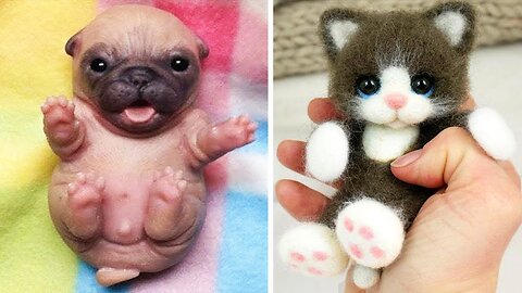 Cute Baby Animals Videos Compilation #15