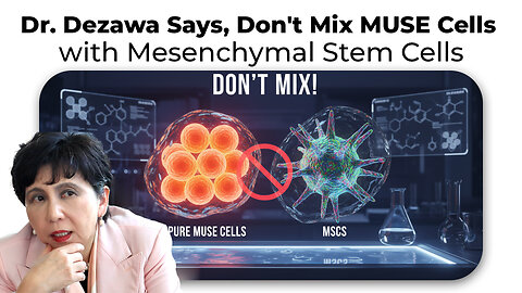 Dr. Dezawa Says, Don't Mix MUSE Cells with Mesenchymal Stem Cells