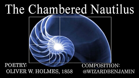 「AI RADIO」 "THE CHAMBERED NAUTILUS"