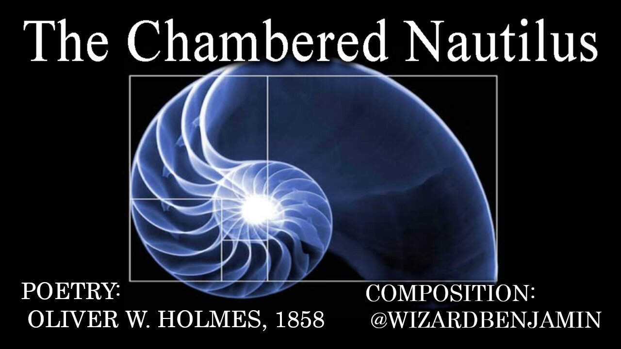 「AI RADIO」 "THE CHAMBERED NAUTILUS"