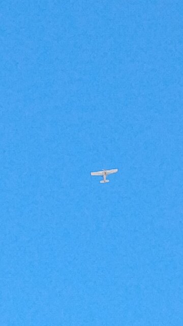 @TARGETEDJUSTICE DRACS TARGETING HUMANS AGAIN!?!