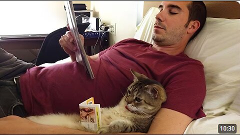 Cat’s ability to imitate 😂 Funny Cat Videos