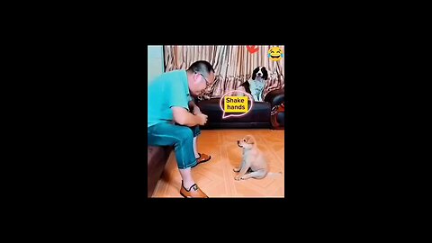 satisfying Video