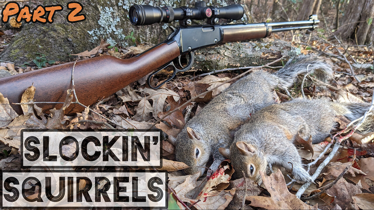 Shooting Squirrels With A Lever Action! - Part Two