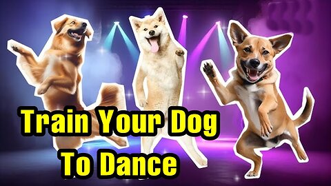 How to Teach Your Dog to Dance