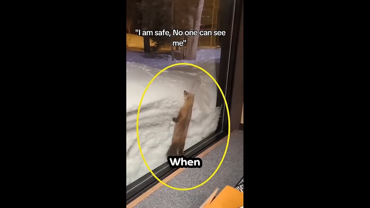 please like and follow ❤️