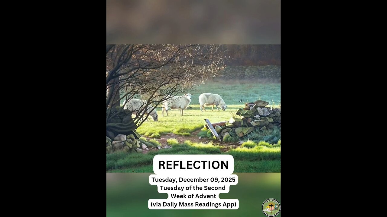 (Reflection) Tuesday, December 09, 2025 Tuesday of the Second Week of Advent #faith #reflection
