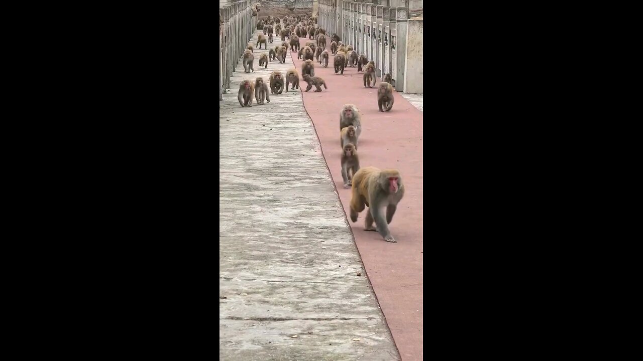 यात्रीगण कृपया ध्यान दे