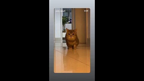 Billy Mieder 2025 - 18