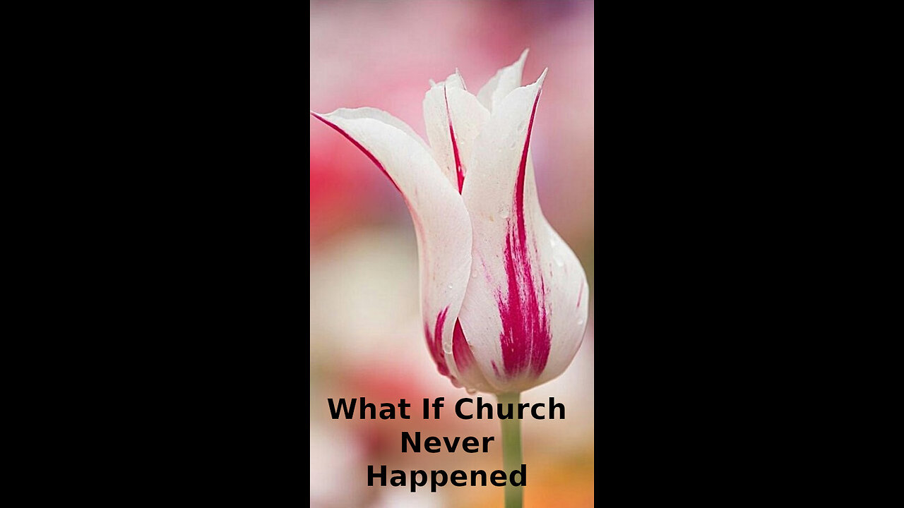Sky 🌼 447 ~ What If Church Never Happened