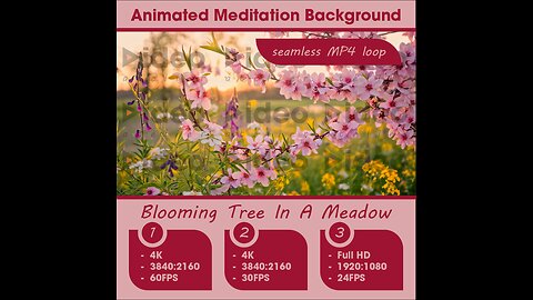 🌺Blooming Tree In A Meadow • Therapeutic Meditation Relaxation Stress-Relief Low Stim 4K Ambient