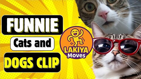 Funniest Cats and Dogs Clip 2025😼🐶Try Not To Laugh😜