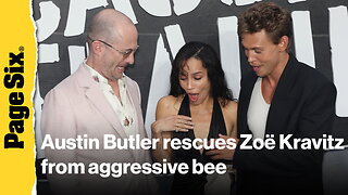 Fearless Austin Butler rescues Zoë Kravitz from aggressive bee at 'Caught Stealing' London premiere