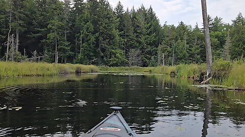 kayak fishing small largemouth bass