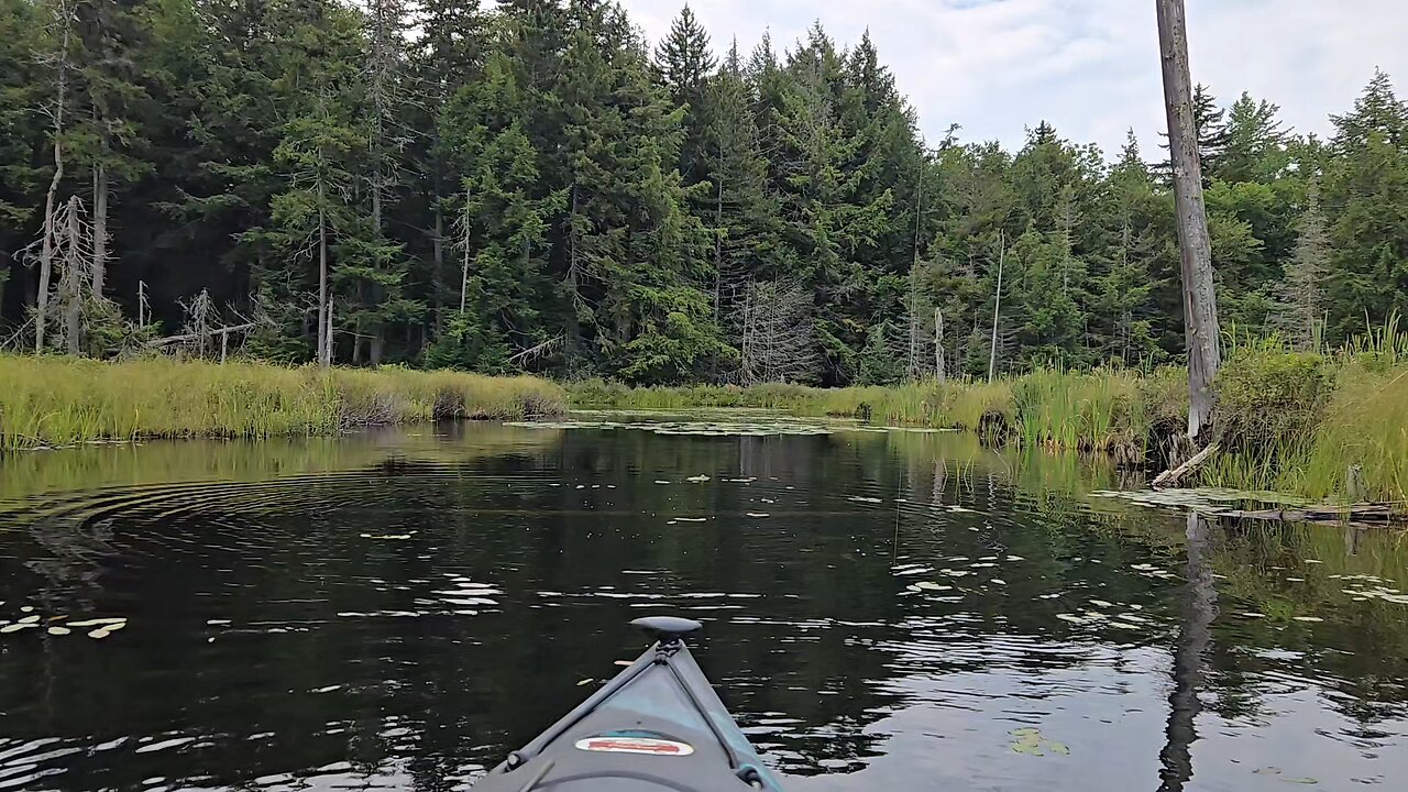 kayak fishing small largemouth bass