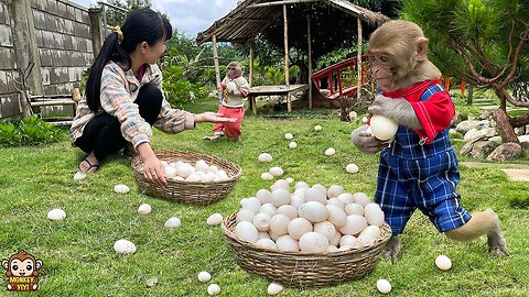 YiYi and YinYin help mom harvest duck eggs to sell to buy food for family