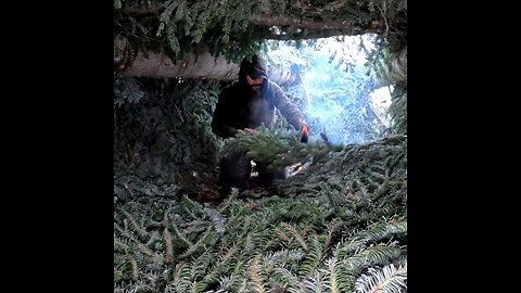 Survival Shelter, Winter in Deep Snow, Outdoors Cooking, Nature Sounds