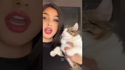 Funny Animals #funnyanimals #animals #pets #shorts