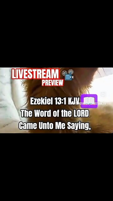 Livestream Bible Study Ezekiel 13 KJV #God #biblestudy #instareel #kjv #faith