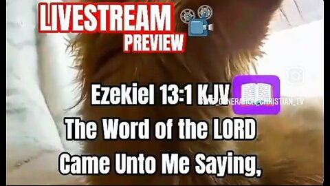 Livestream Bible Study Ezekiel 13 KJV #God #biblestudy #instareel #kjv #faith