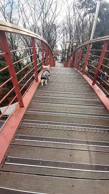 20251219. Jesus Christ Is King.