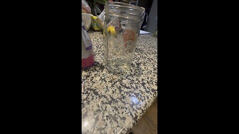 Sugar free magic drink