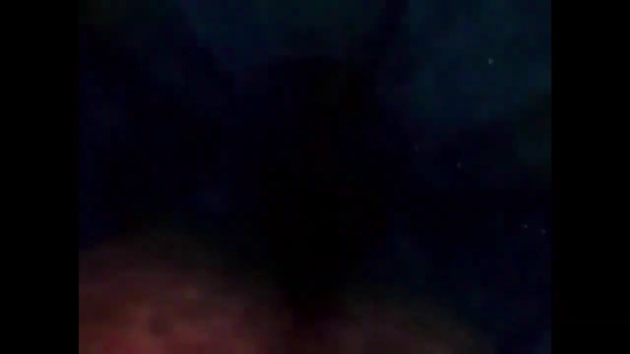Finding Nemo Whale Roar