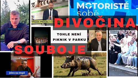 Tady se nehraje na sběr hub. Šimkovičovou vypískali, Turek šlape na plyn a Kartous rozhazuje jiskry