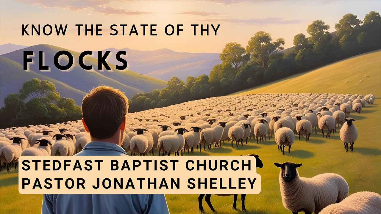 Know the state of thy flocks - Pastor Jonathan Shelley | Stedfast Baptist Church