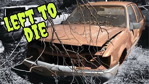 Can this RUSTY VK BERLINA be brought back to LIFE?