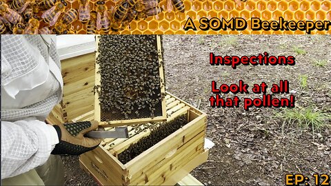 SOMD Beekeeping ep: 12 - Weekly Inspections